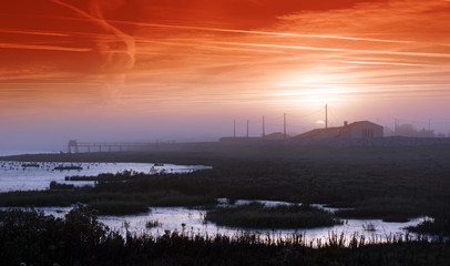 Fototapeta premium nature reserve in the estuary of Charente river