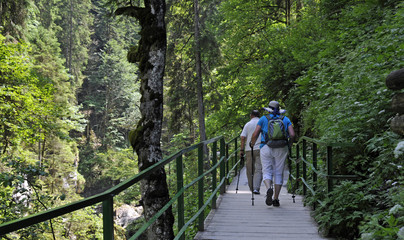 Obraz premium weg durch die breitachklamm im kleinwalsertal