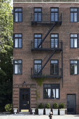 Obraz premium Traditional New York buildings