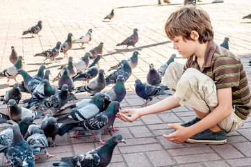 The boy feeds the pigeons in the square