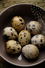 Fresh quails eggs in bowl