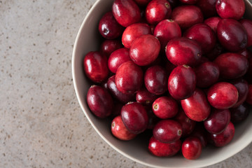 Fresh Cranberries in a Bowl