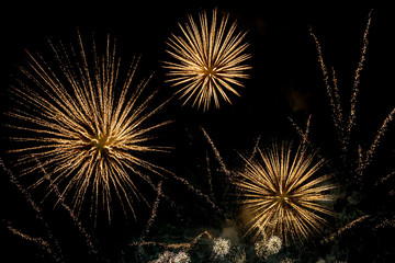 Fireworks against the Night Sky © lemanieh