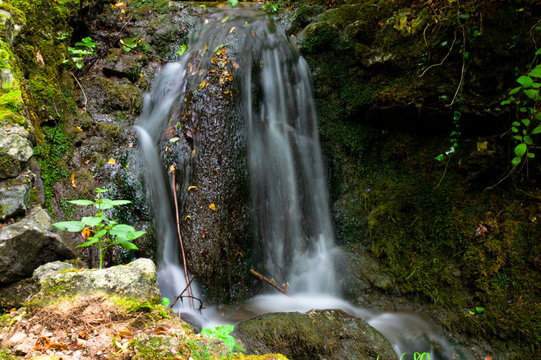 Little waterfall in wood of Valganna (varese) with nature around it