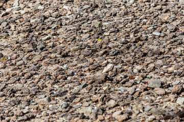  view of Seashells And Stones At Beach