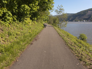 Der Rhein in der Nähe von Bingen