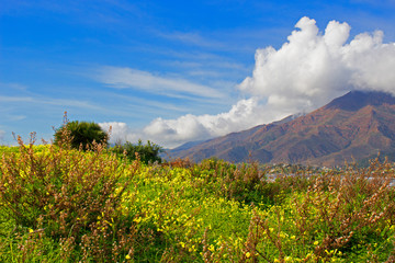 Mountain. Beautiful view. Costa del Sol, Andalusia, Spain.