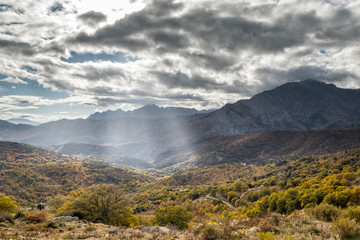 Sun rays beasming onto autumn woodland in valley in Corsica