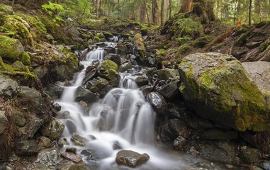 Naklejka na ściany i meble Cascading Waterfall in Lush Rainforest on Rubble Creek Great Hiking Trail to Garibaldi Lake in Coast Mountains of British Columbia, Canada