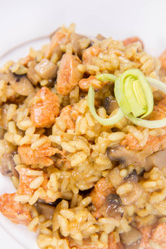 Risotto with mushrooms and chicken decorated with leek