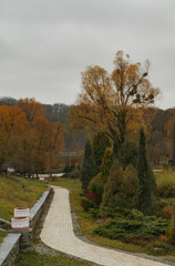 Autumn park