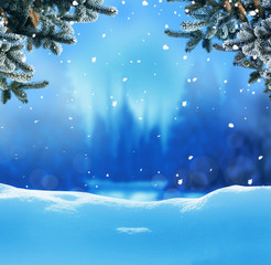 Christmas background with fir tree branch.Winter night landscape