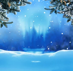 Poster Kerst achtergrond met fir tree branch.Winter nacht landschap © Lilya