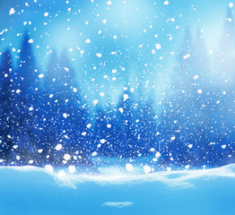 Christmas background with fir tree branch.Winter night landscape