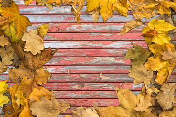 Background from old, partially painted red boards and superimposed autumn leaves