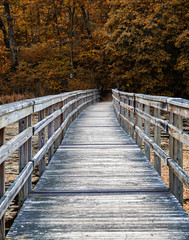 Obraz premium Sunday Walk