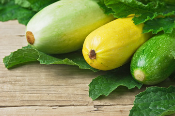 zucchini with leaves