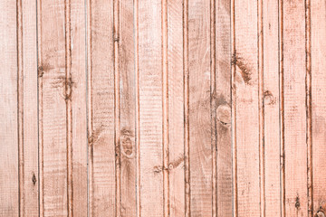 Fototapeta premium texture of the wall made of natural vertical wooden panels