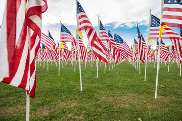 Field of Veterans Day American Flags Waving in the Breeze.