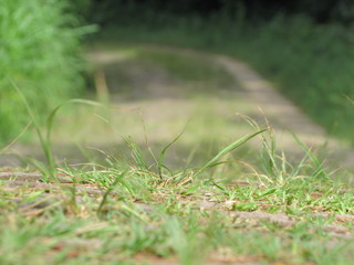 natureza