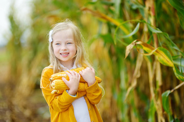Adorable girl playing in a corn field on beautiful autumn day. Pretty child holding a cob of corn. Harvesting with kids © MNStudio