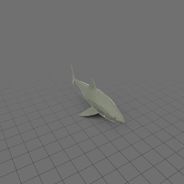 Shark swimming forward