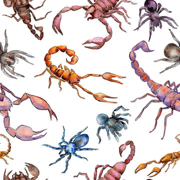 Exotic scorpion wild insect pattern in a watercolor style. Full name of the insect: scorpion. Aquarelle wild insect for background, texture, wrapper pattern or tattoo.