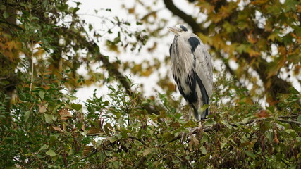 Bird on a branch