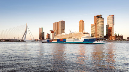 Vrachtschip, cruiseschip en Erasmusbrug bij zonsondergang, Rotterdam, Nederland
