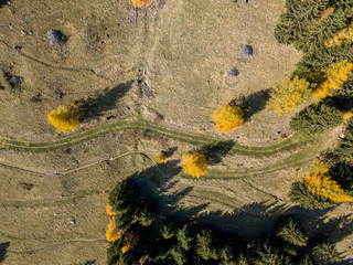 Aerial view of hiking trail in Swiss mountains. Fall colors with yellow conifer trees.