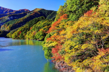 紅葉の奥多摩湖