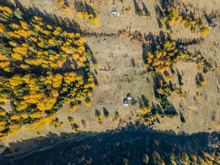 Aerial view of hiking trail in Swiss mountains. Fall colors with yellow conifer trees.