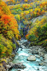 錦秋の秋山郷夫婦滝