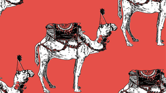 Seamless new year camel pattern. Vector illustration