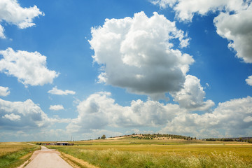 Sardegna, paesaggio di campagna
