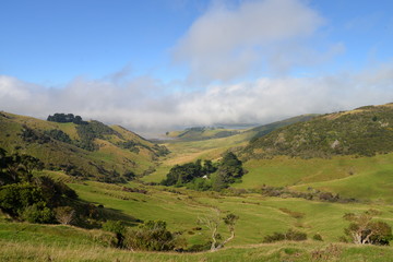 Otago Peninsula - New Zealand