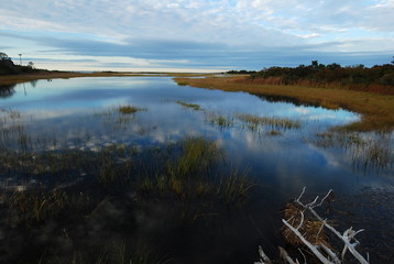 folger marsh