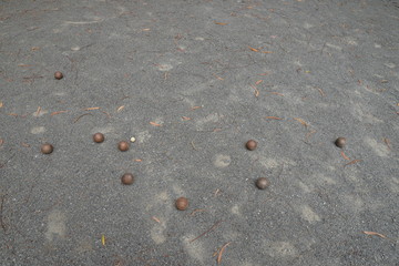 Pétanque