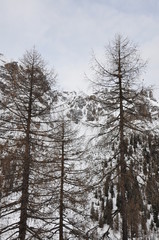 Winter mountains. Tyrol, Austria