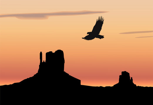 Landscape background. Western desert. Rocks. Flying eagle. Colorful sky.