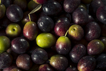 Raw Fresh Organic Greek Olives