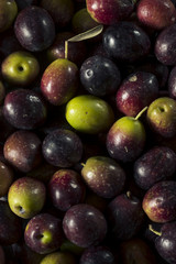 Raw Fresh Organic Greek Olives