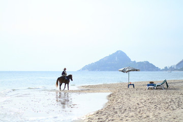 Horse rider on the beach