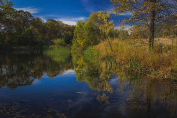 Fototapeta premium Autumn at Oak Glen Preserve