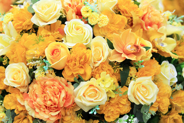 Yellow roses flower background