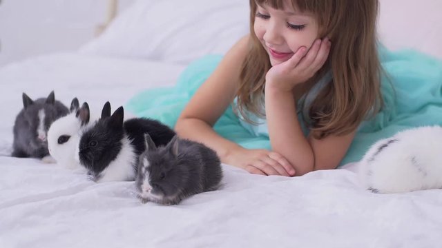 Pretty teen girl having fun, hugging and playing with decorative rabbit