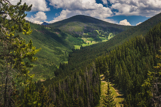 Tree-Covered Vail Mountain