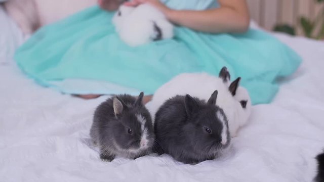 Pretty teen girl having fun, hugging and playing with decorative rabbit