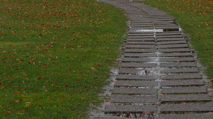 公園の遊歩道　秋の風景