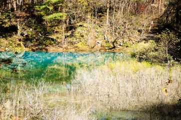 秋の裏磐梯・五色沼　青沼と黄葉（福島県北塩原村）